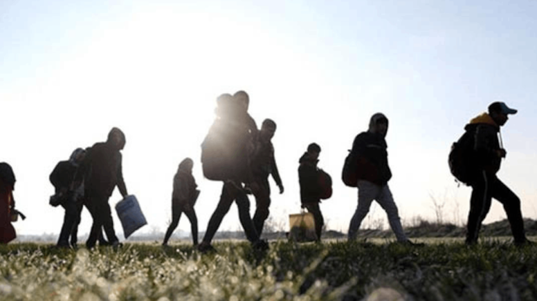 21 kaçak göçmen Edirne'de yakalandı