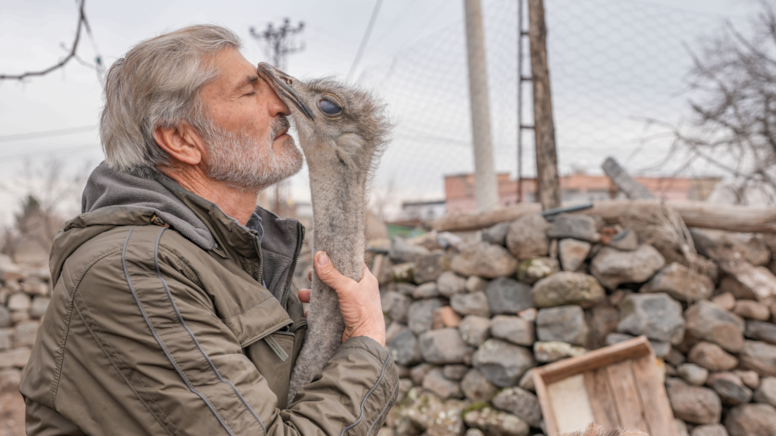 Hediye edildiği iş yerinden kaçan deve kuşu, büyütüldüğü mahalleye geri döndü