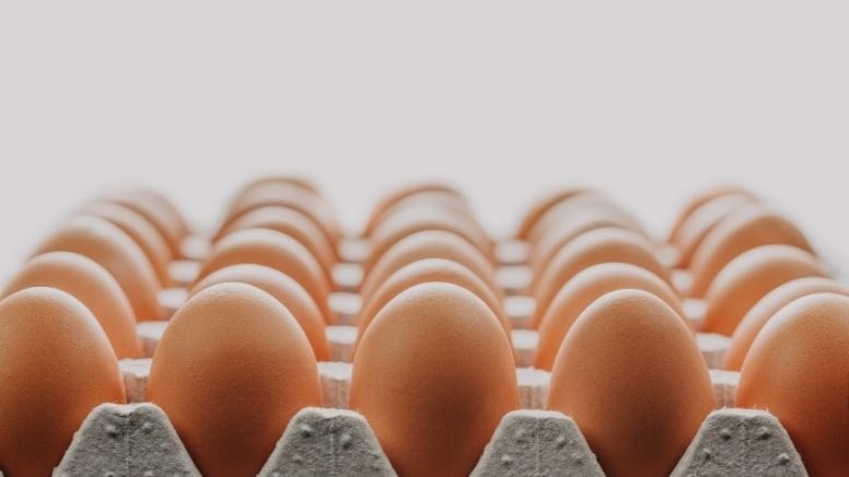 Yumurtada fiyat çıktığı yerden inmedi, başkandan tepki geldi