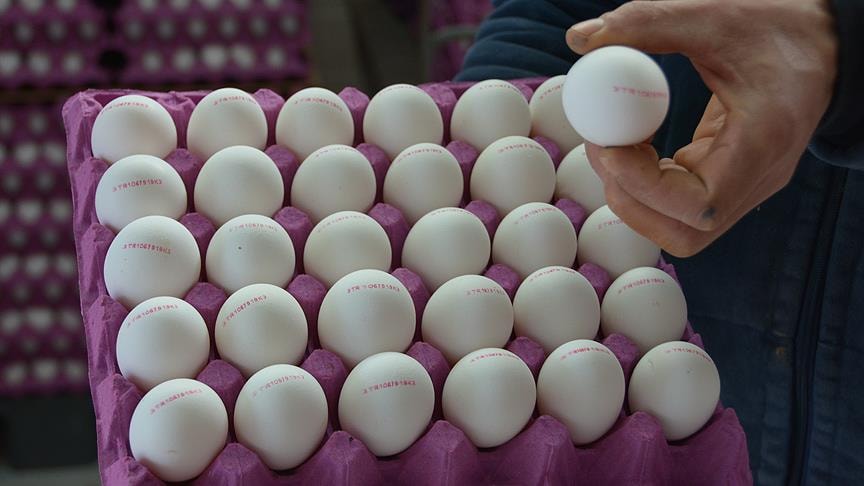 Kuş gribi sert vurdu: Yumurta fiyatları 8 kat yükseldi