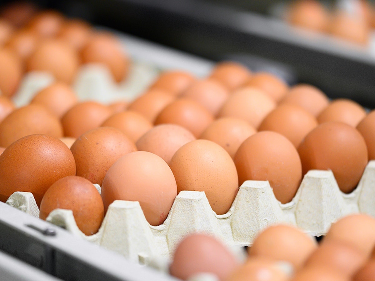 Marketlerde artık kahverengi yumurta satılmayacak: İşte nedeni - Sözcü