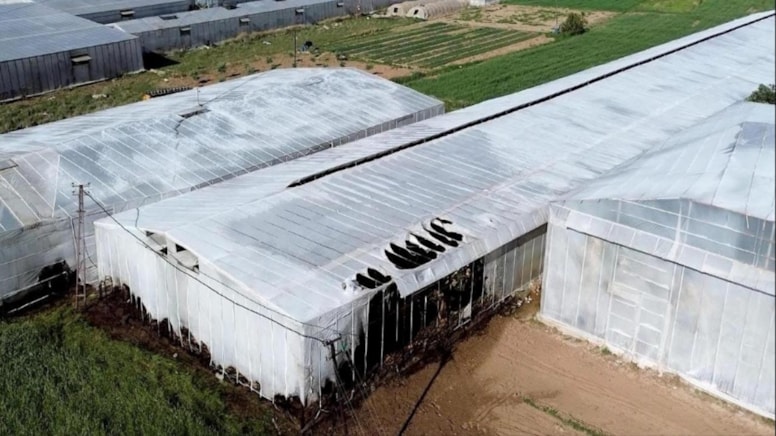 Mersin'de 2 serada yangın çıktı