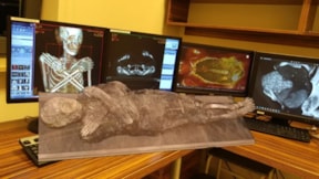 İddialar çürütüldü... 'Gizemli Hanım'ın sırrı çözüldü