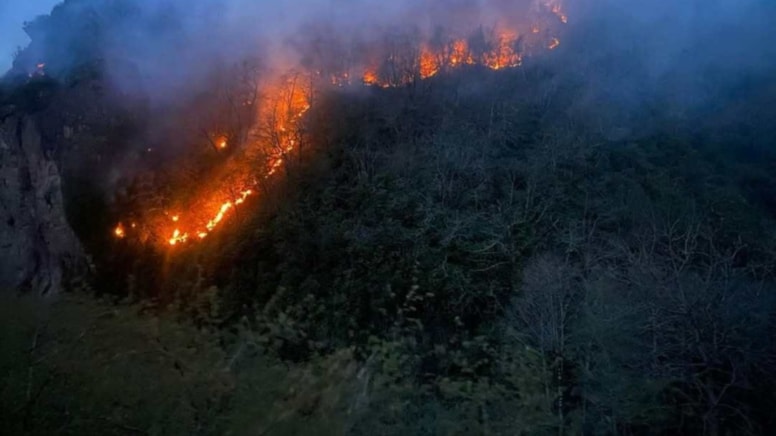 Giresun’da orman yangını: Müdahale devam ediyor