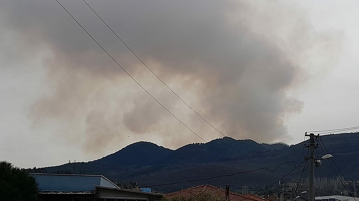 Balıkesir'de orman yangını: Ekipler seferber oldu