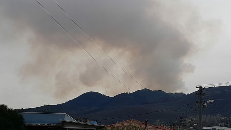 Balıkesir'de orman yangını: Ekipler seferber oldu