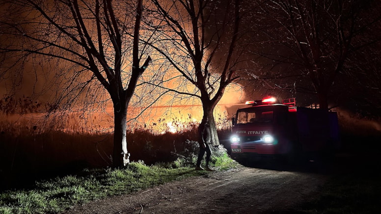 İznik Gölü kıyısında sazlık yangını