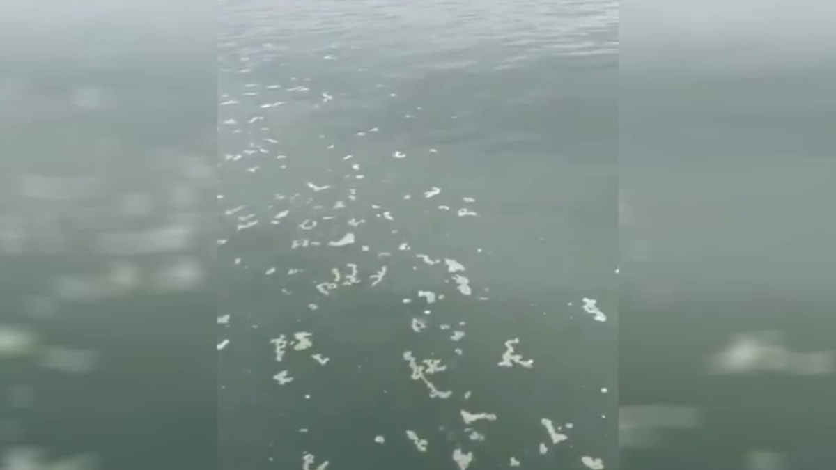 İzmir Körfezi'nde kirliliğe neden olan firmaya 8 milyonluk ceza