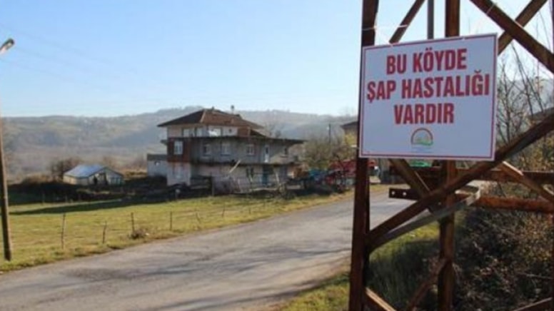 574jpg-UTXuXrQ9g0qfqxfHXJswlg.jpg