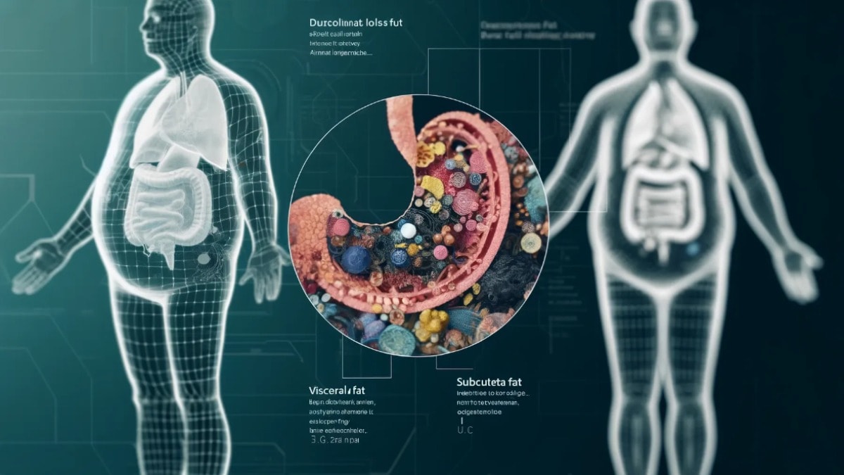 Bilim insanları, insan vücudunda yeni bir yağ hücresi türü keşfetti