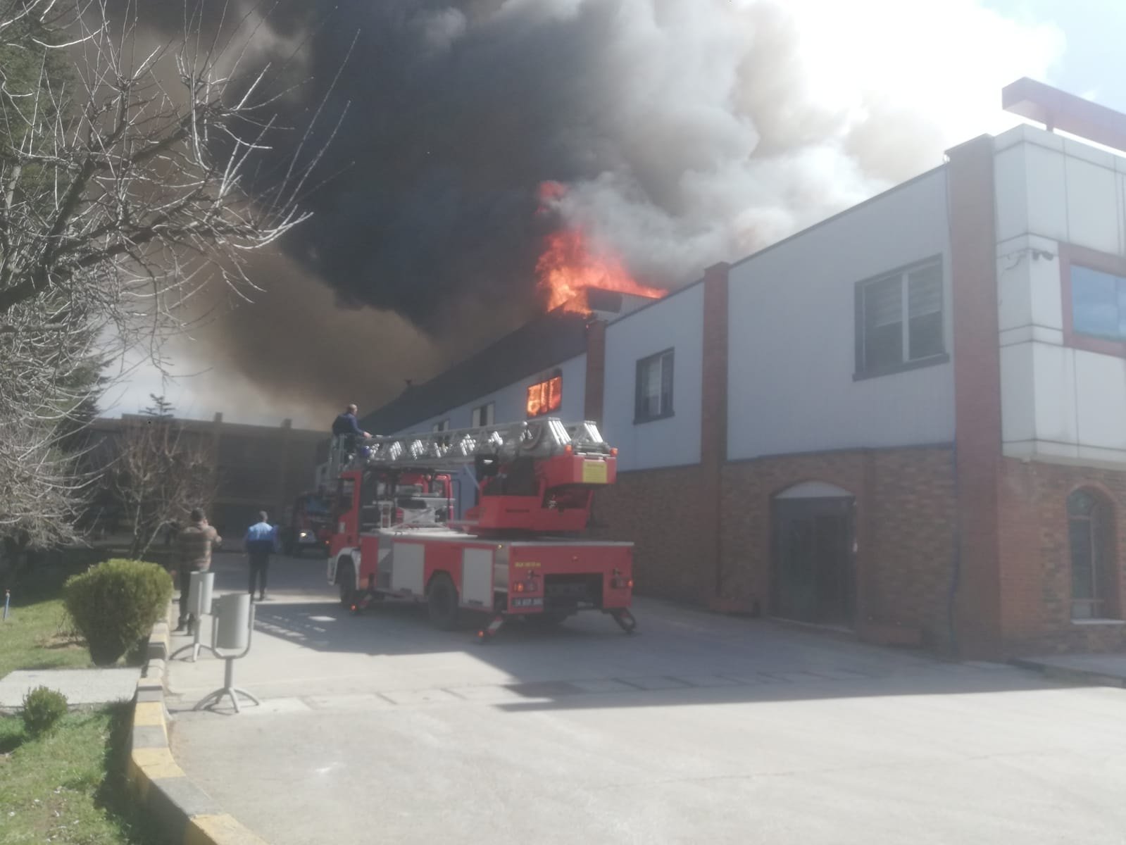 Bolu'da kereste fabrikasında yangın