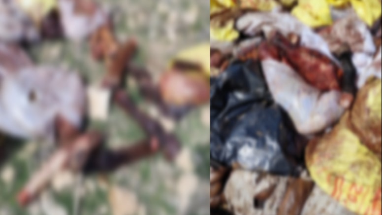 Yakalanmasa soframıza kadar gelecekti: At ve eşek eti keserken yakalandı