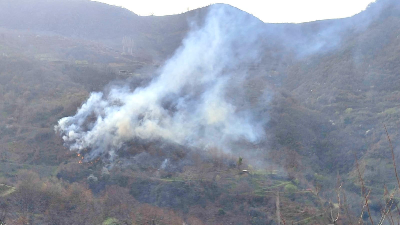 İzmir'de tarım arazisinde yangın