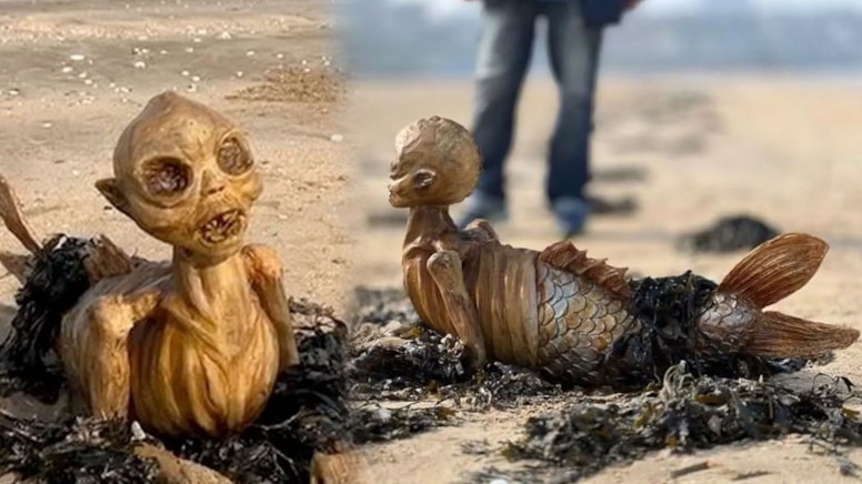 İngiltere'de sahile vuran 'şey' yürekleri ağza getirdi