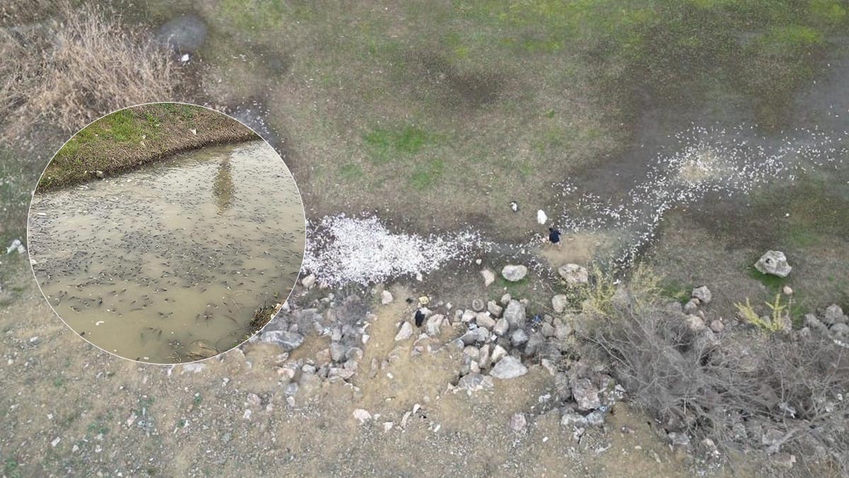 Barajdaki tedirgin eden görüntüyü vatandaşlar fark etti, inceleme başlatıldı