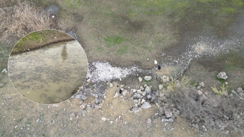 Barajdaki tedirgin eden görüntüyü vatandaşlar fark etti, inceleme başlatıldı