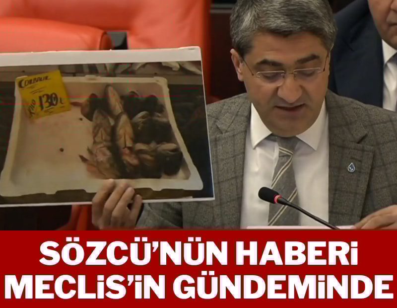 SÖZCÜ yazdı, balık kafası haberi Meclis gündemine geldi