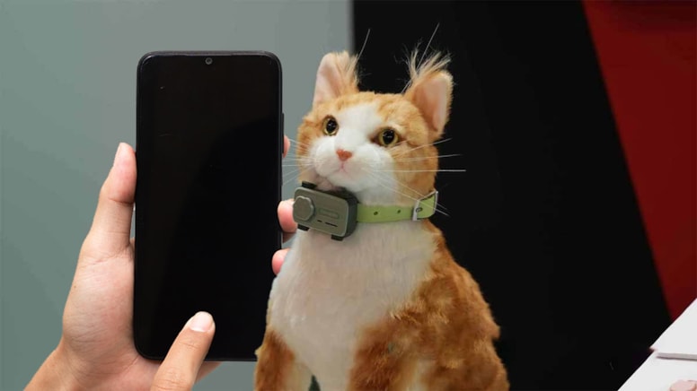 'Alo'nun yerini 'Miyav' alacak: İlk evcil hayvan telefonu tanıtıldı