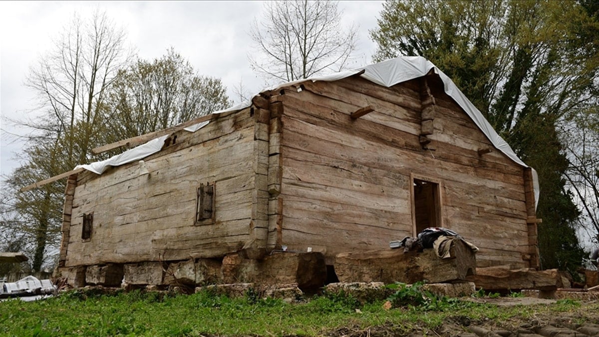 Samsun’un 800 yıllık gizemi: Çivisiz ahşap cami restore ediliyor