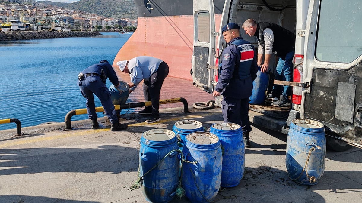 600 kilo deniz patlıcanı suya geri bırakıldı