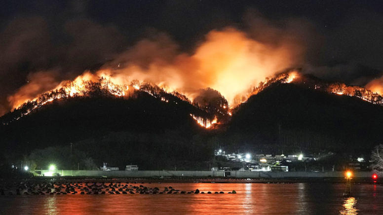 Japonya'da yangınların önüne geçilemiyor: 2 bin 100 hektar kül oldu