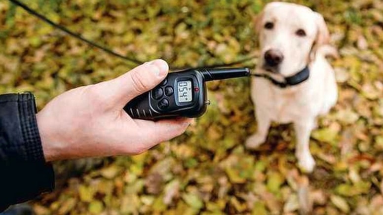 Süregelen işkenceyi öğretmenleri fark etti: Çocuğuna zulmeden anne tutuklandı