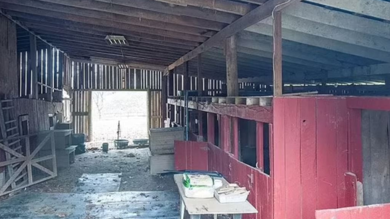 5 çocuğu evlat edinip istismar ettiler: Komşuları ihbar etti