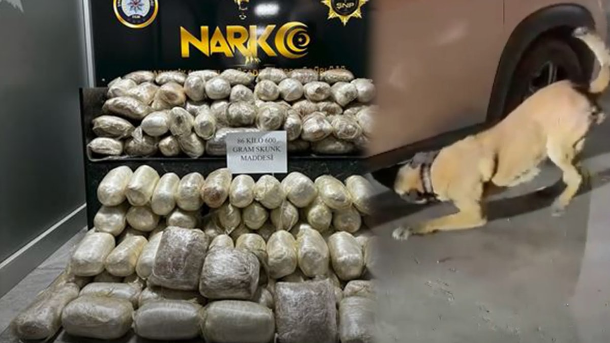 86 kilo uyuşturucuyu narkotik köpeği buldu