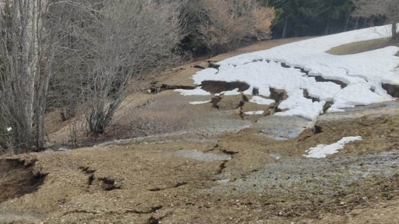 Artvin'de ormanda heyelan