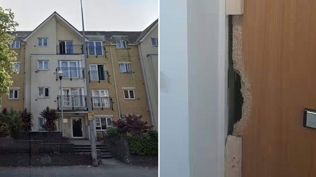 Apartmandaki kokunun kaynağını öğrendiklerinde dehşete düştüler