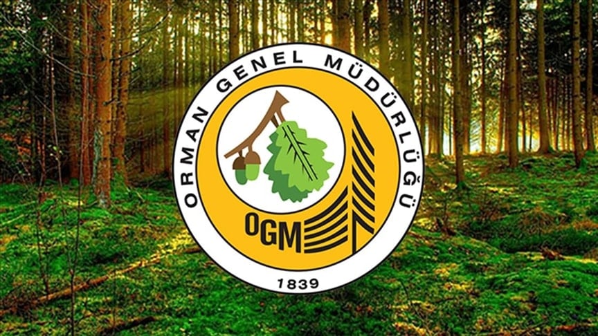 Orman Genel Müdürlüğü 252 daimi işçi alımı yapacak