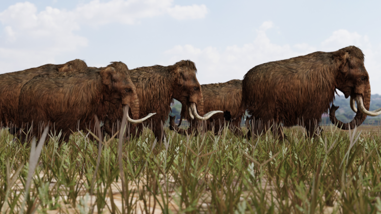 Mamut karışımı yünlü fareler doğdu! DNA'ları değiştirilmişti, dünya şokta