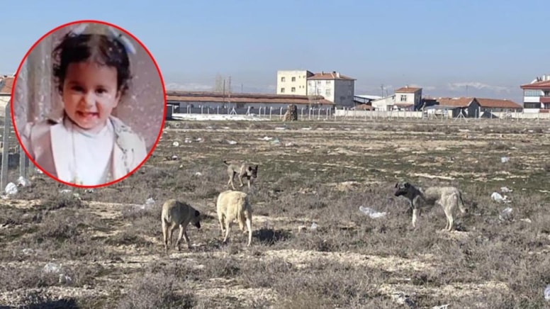 Konya'da 2 yaşında hayatını kaybeden Rana'nın otopsi raporu çıktı