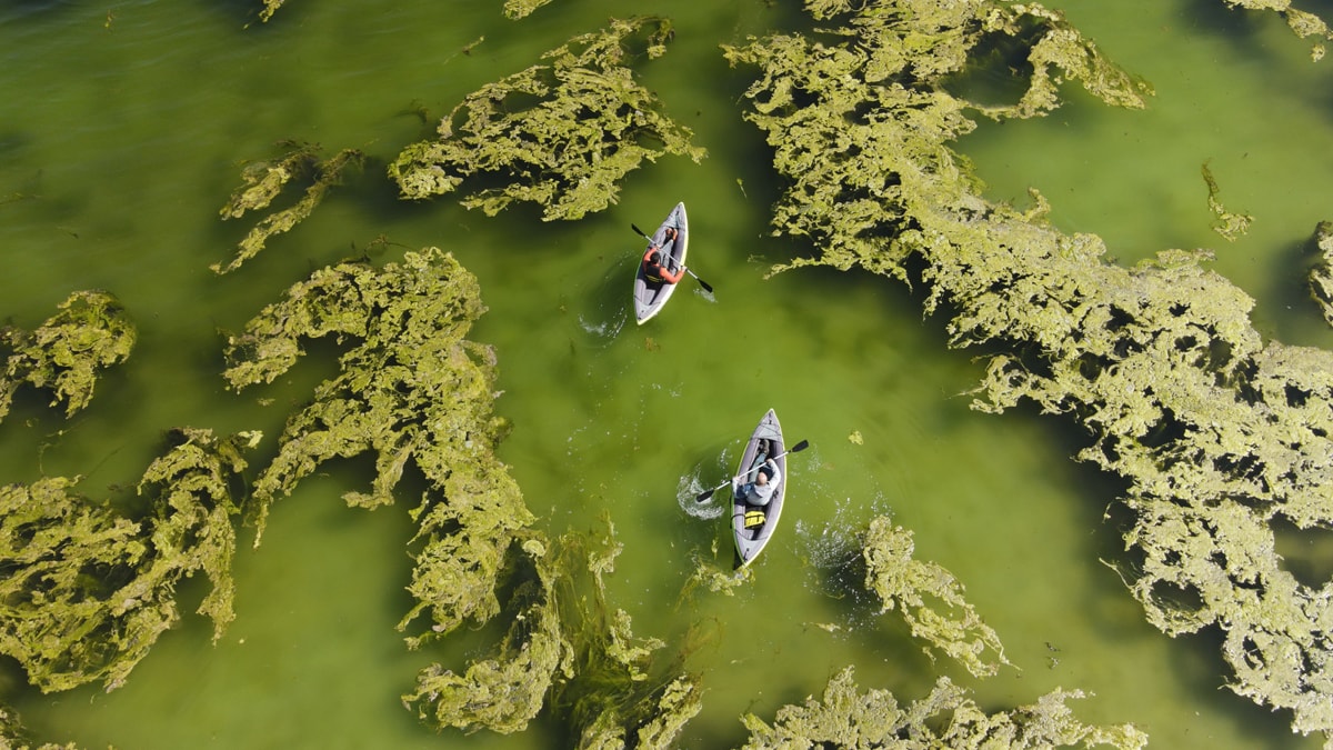 Van Gölü çekildi: Ortaya çıkan mikrobiyalitler dikkat çekti