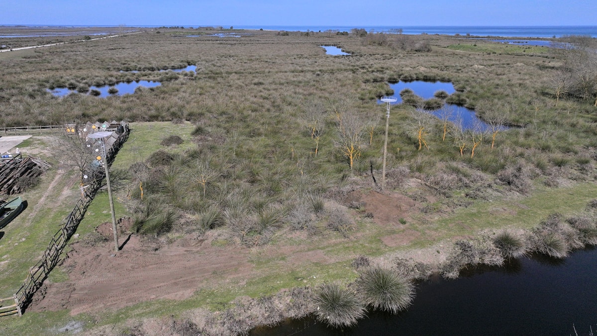 Kuş Cenneti’nde leyleklere özel yuva oluşturuldu