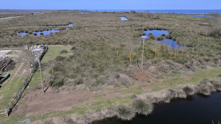 Kuş Cenneti’nde leyleklere özel yuva oluşturuldu