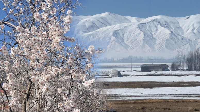 Aynı şehirde iki mevsim: Kar ve bahar yan yana