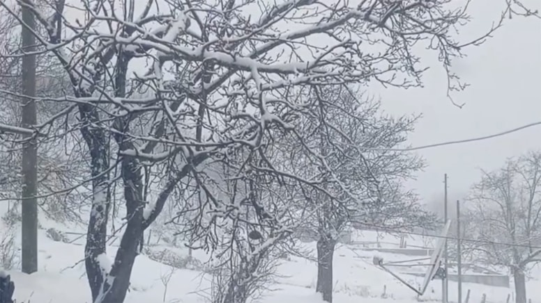 Sinop'ta kar yağışı etkili oldu