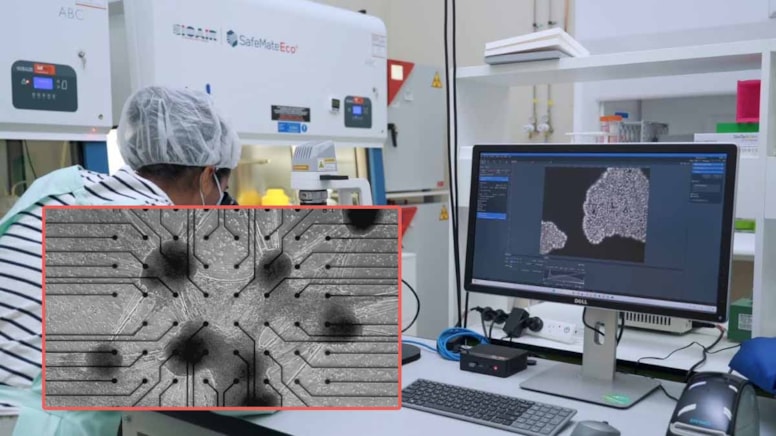 İnsan beyin hücrelerine sahip ilk bilgisayar satışa çıktı