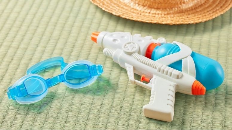 İsviçre'de su tabancası alan siyasetçiye para cezası