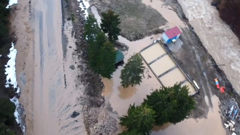 Trabzon'da dere taştı: Alabalık tesisi sular altında