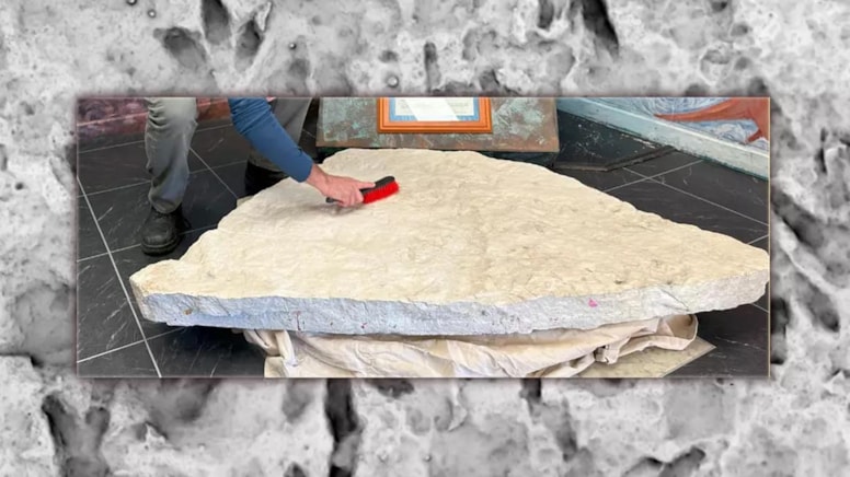 Okul bahçesinde yıllardır duran kayanın içinden çıkanlar şoke etti! Okul yönetimi acilen toplandı