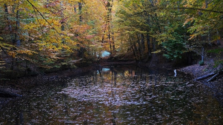 Bolu Valiliği'nden yeni karar: Yedigöller ve Abant için bazı yasaklar geldi