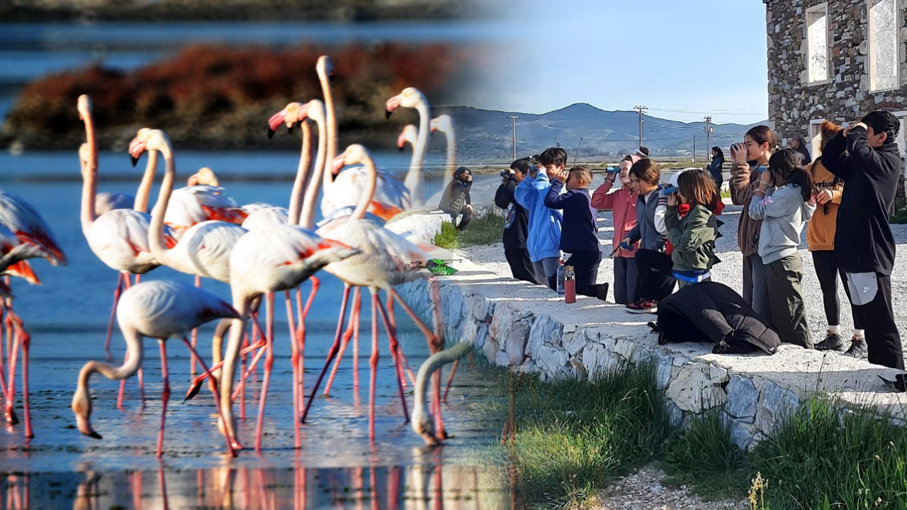 Geleceğin kuş gözlemcileri yetiştiriliyor