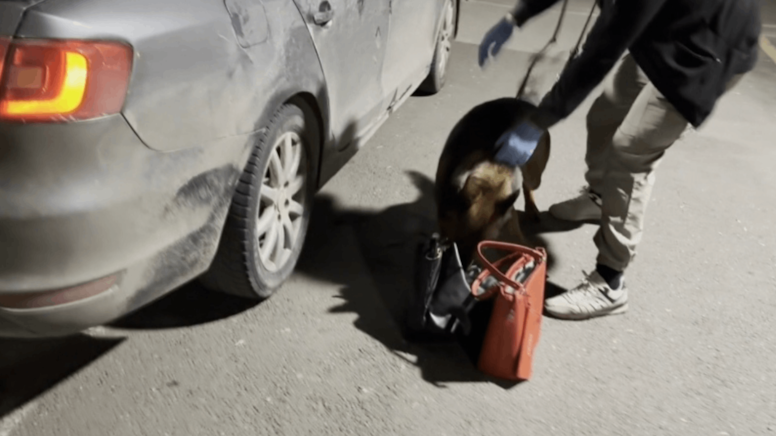 4 kilogram uyuşturucuyu Mailo yakaladı