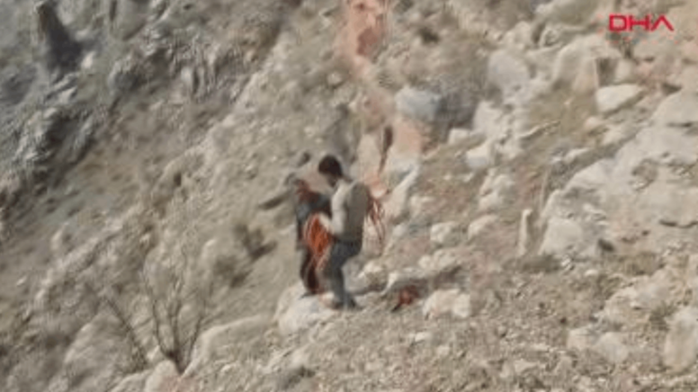Uçurumda mahsur kalan keçilerin yardımına köylüler koştu