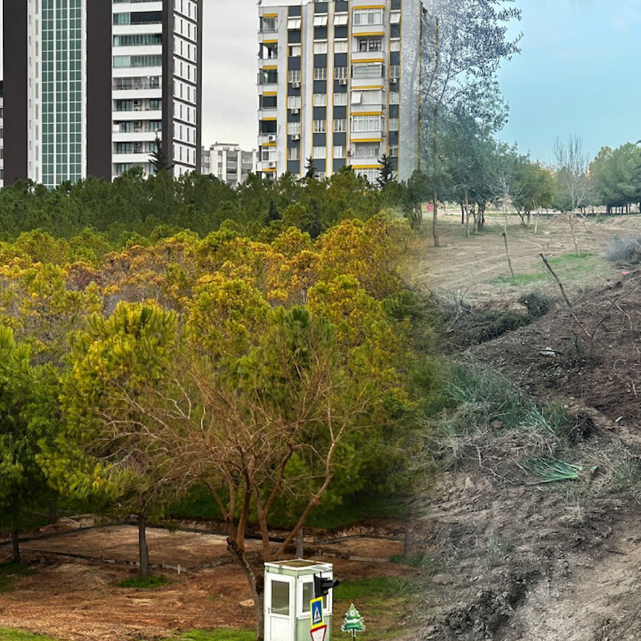 Eski CHP'li başkandan yeşil alana ticari izin şoku - Sözcü