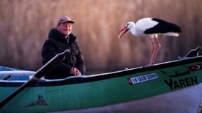 Beklenen kavuşma gerçekleşti: Yaren Leylek 14. yılda da göçüp geldi