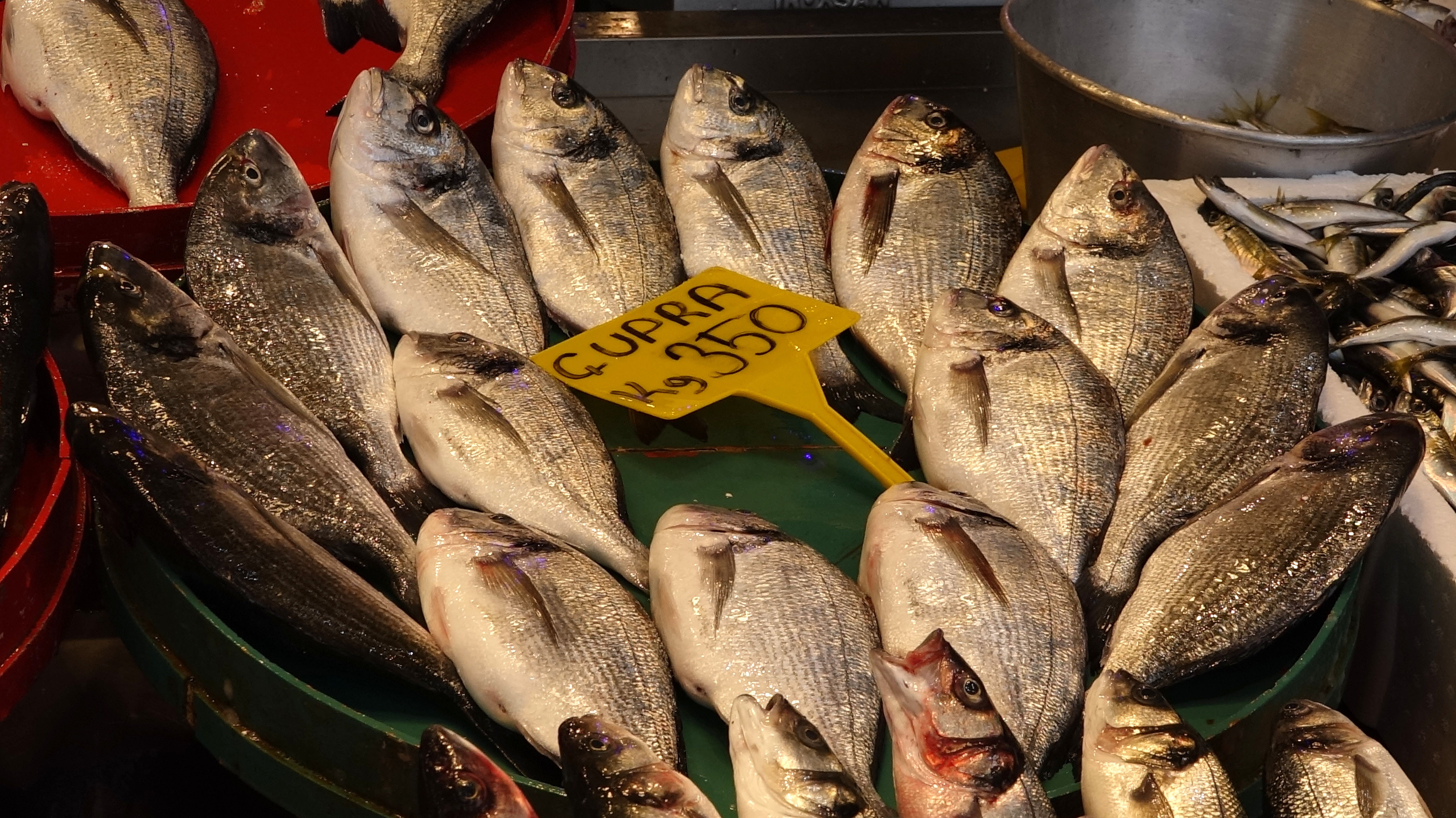 Yasak öncesi fiyatlar dip yaptı: Kilosu 200 liradan satılacak