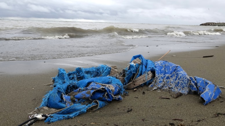 Karadeniz'de korkutan manzara